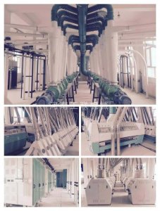 重庆小米加工设备厂：面粉机中磨粉机的研磨原理