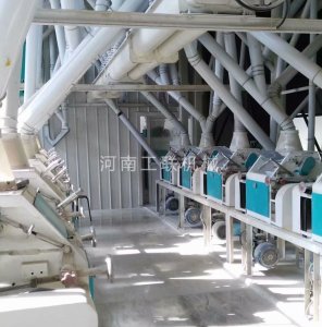唐山荞麦磨粉机厂家报价：面粉加工成套设备是如何进行工作的？